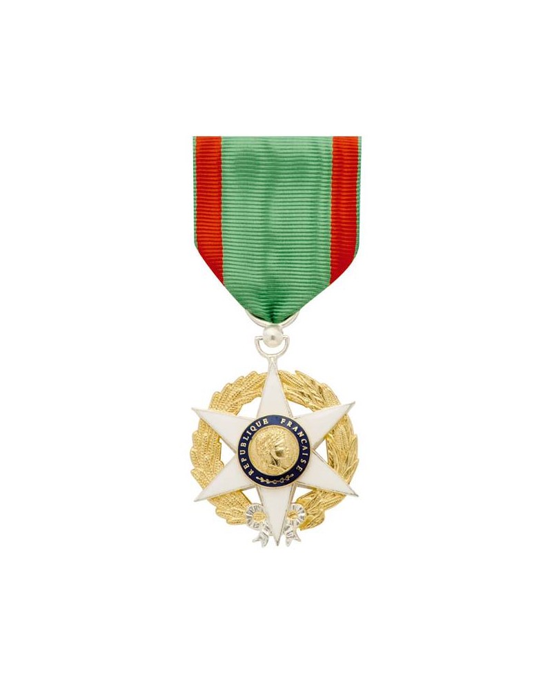 medaille-chevalier-de-lordre-national-du-merite-agricole-